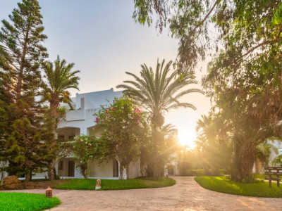DJERBA RESORT STANDART — снимка 3