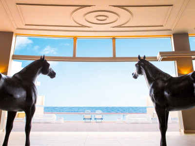 GRECOTEL EGNATIA GRAND HOTEL - снимка 8