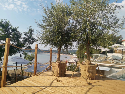 OLIVE VILLAS — снимка 4
