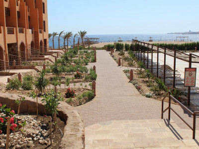 VIVA BLUE RESORT SOMA BAY — снимка 6
