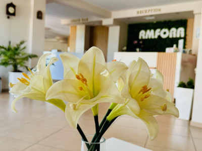 АМФОРА — снимка 3