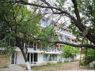 ЗАРЯ