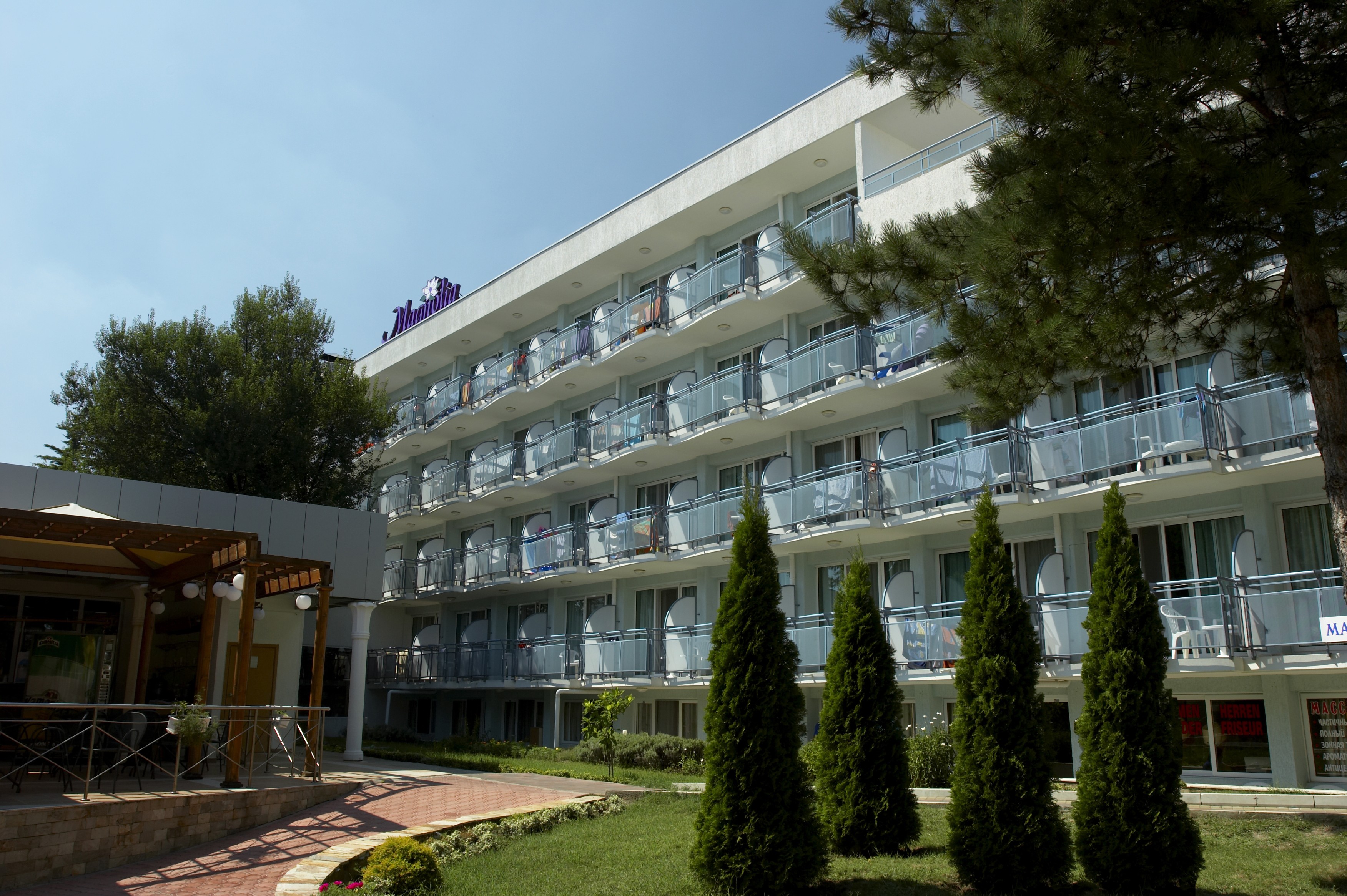 МАГНОЛИЯ СТАНДАРТ
